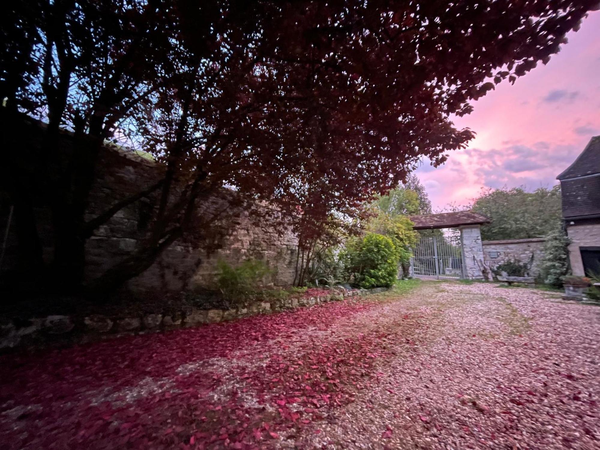 Evergreen Guesthouse Vernon  Luaran gambar
